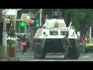 ウイグルで政府機関襲撃　数十人死亡　国営メディア(14/07/30)