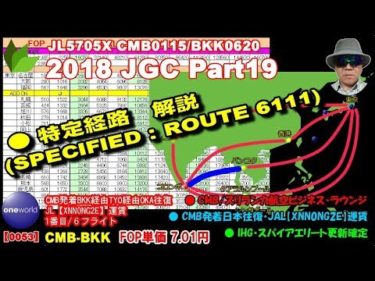 [JGC]JALビジネスクラス ひと航海で 25216 FOP獲得、FOP単価 5.11 円【XNN0NG2E】運賃(Route via DEL,TYO to ISG)
