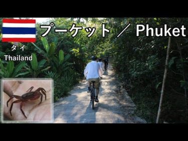 タイ旅2019その16　プーケットの自転車ツアー1　野菜とゴムと山歩き【無職旅】【旅行記】