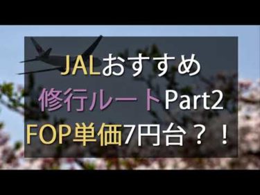 JALおすすめ修行ルートPart2!!