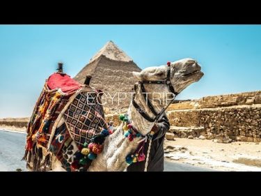エジプトへ！ ピラミッドはかなりデカイ！【VLOG】