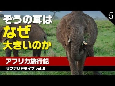 意外！キリンの首が長い理由とゾウの鼻が長い理由【アフリカ旅行記　Vol.5】
