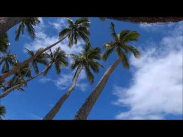 【旅エイター】オセアニアの旅・フィジー『シャングリラ リゾート・ビデオ映像』
