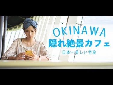 【沖縄旅行】世界最高研究機関の学食が日本一美しい場所だった。【穴場カフェ】